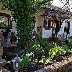 Haus Buena Vista Bad Kissingen
